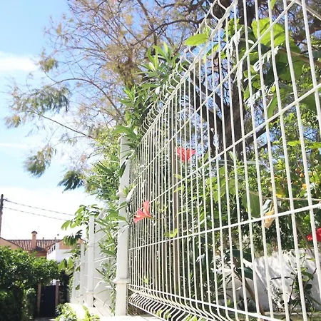 Apartment Del Parque Flats Pina